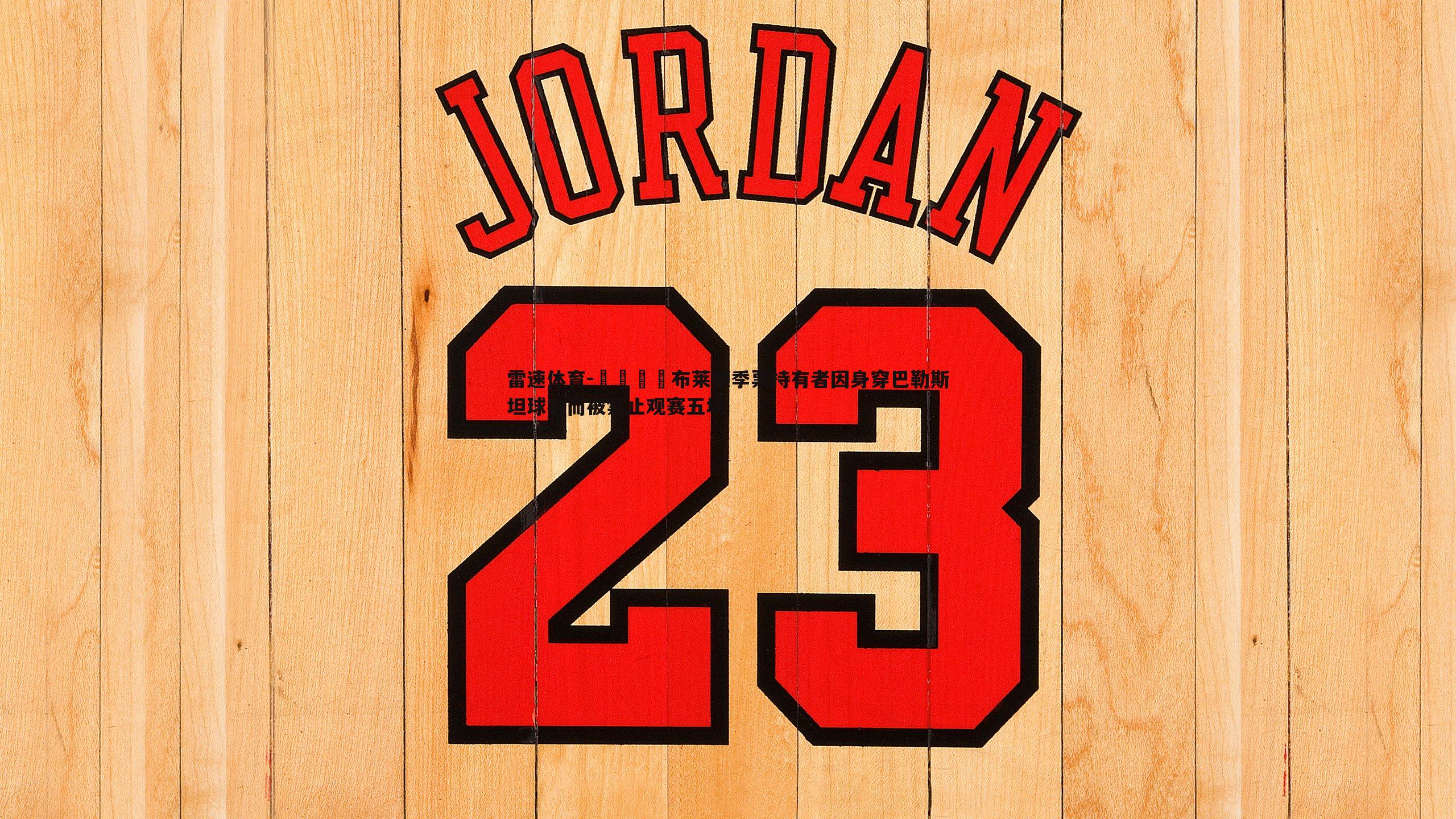 😦布莱顿季票持有者因身穿巴勒斯坦球衣而被禁止观赛五场